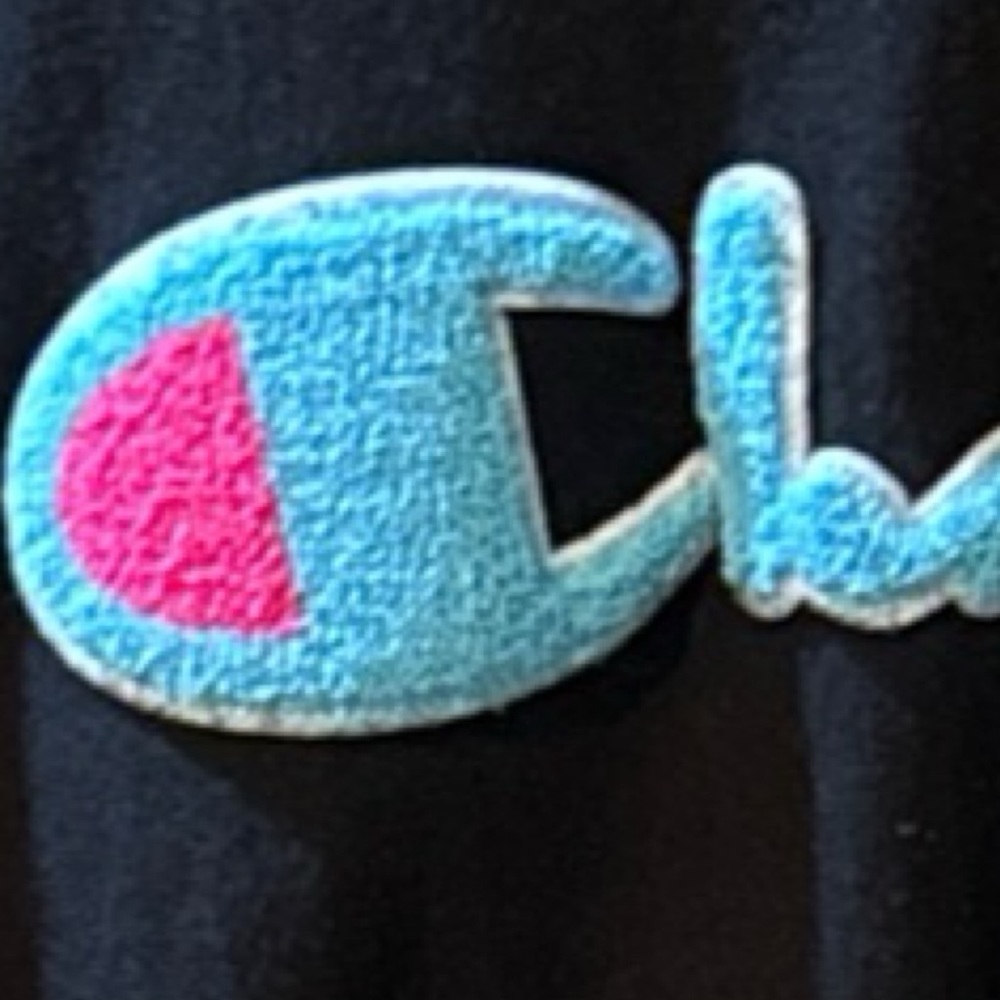 Champion Reverse Weave Script Embroidered Hoodie - image 6